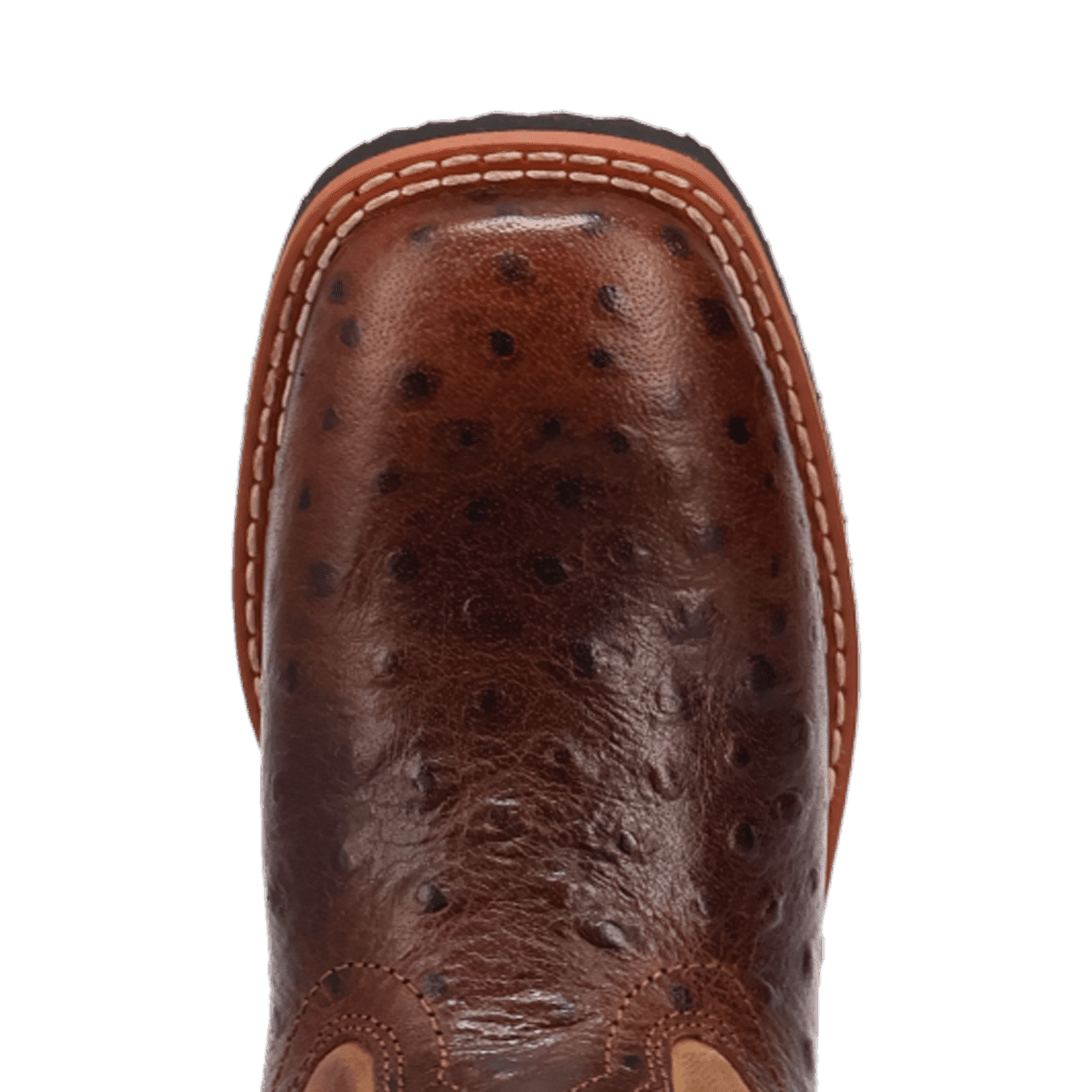 Dan Post Jet Leather Youth Boot