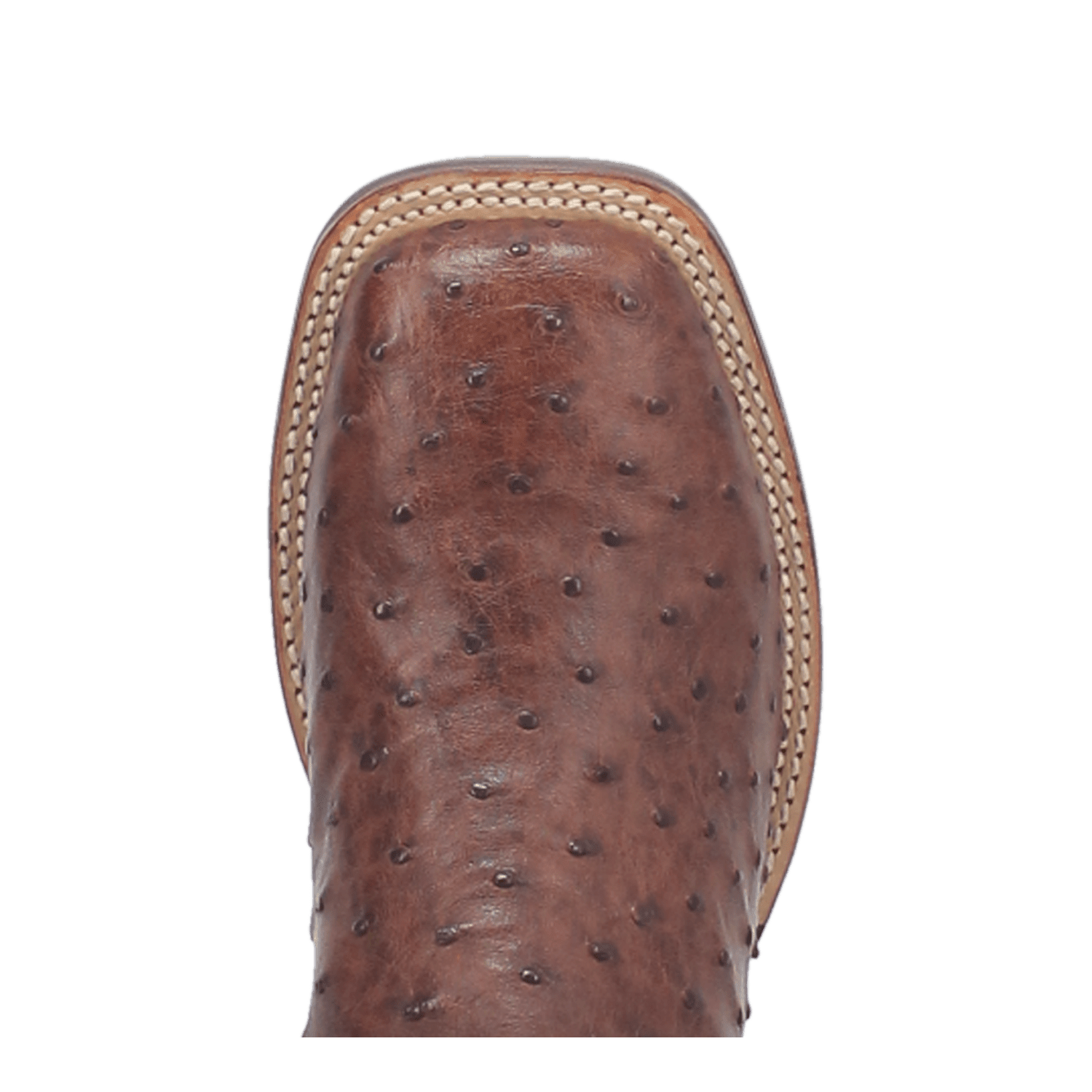Dan Post Alamosa Full Quill Ostrich Boot