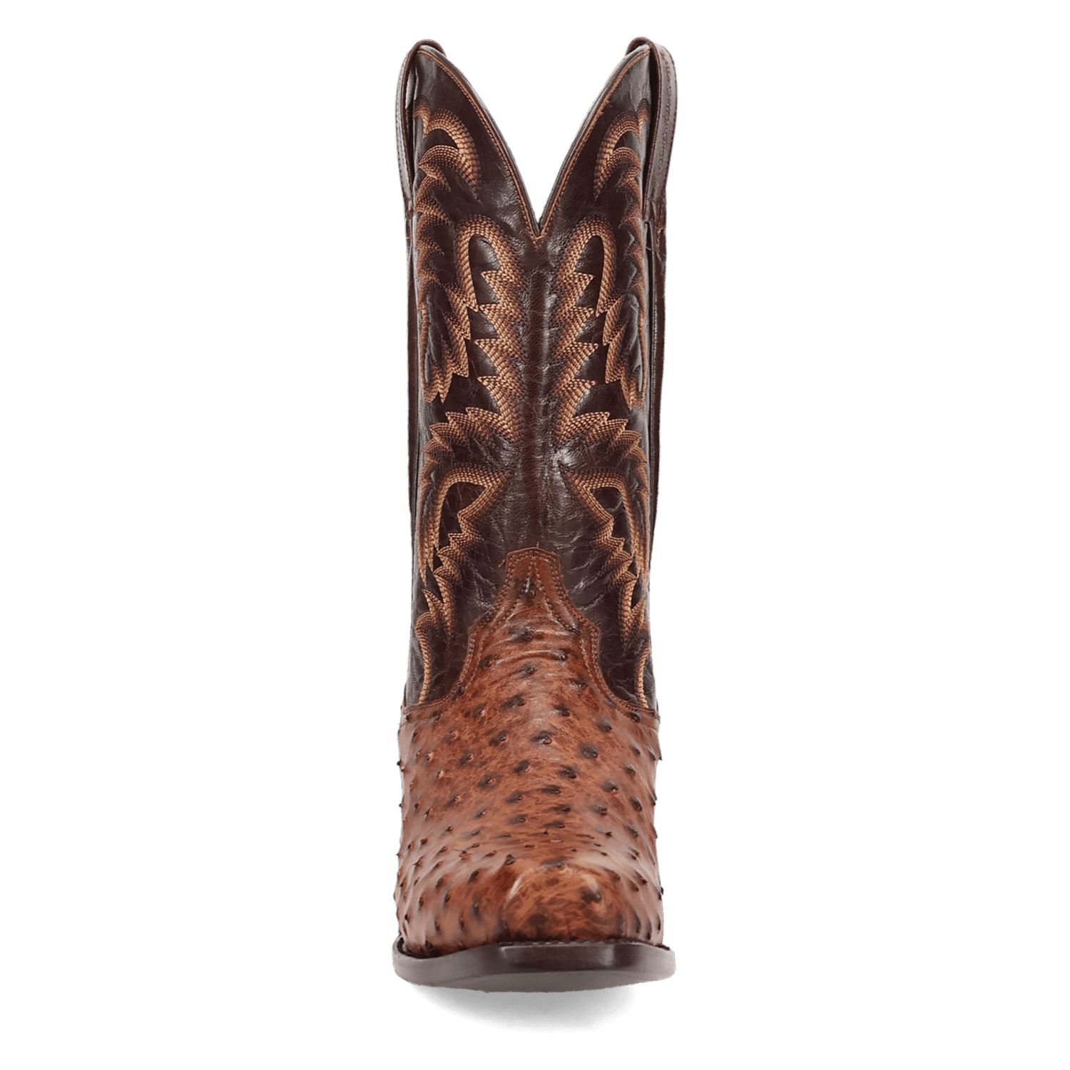 Dan Post Marco Full Quill Ostrich Boot