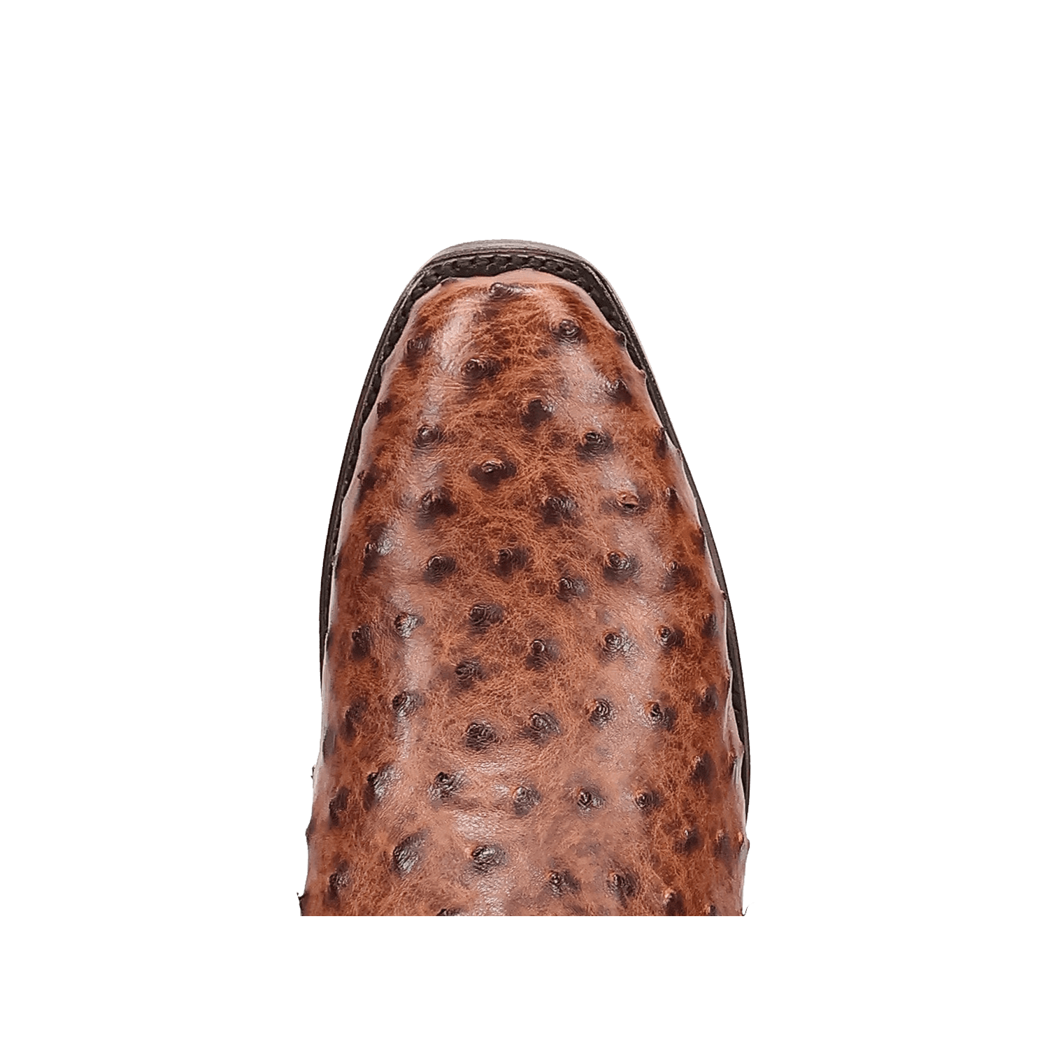 Dan Post Marco Full Quill Ostrich Boot