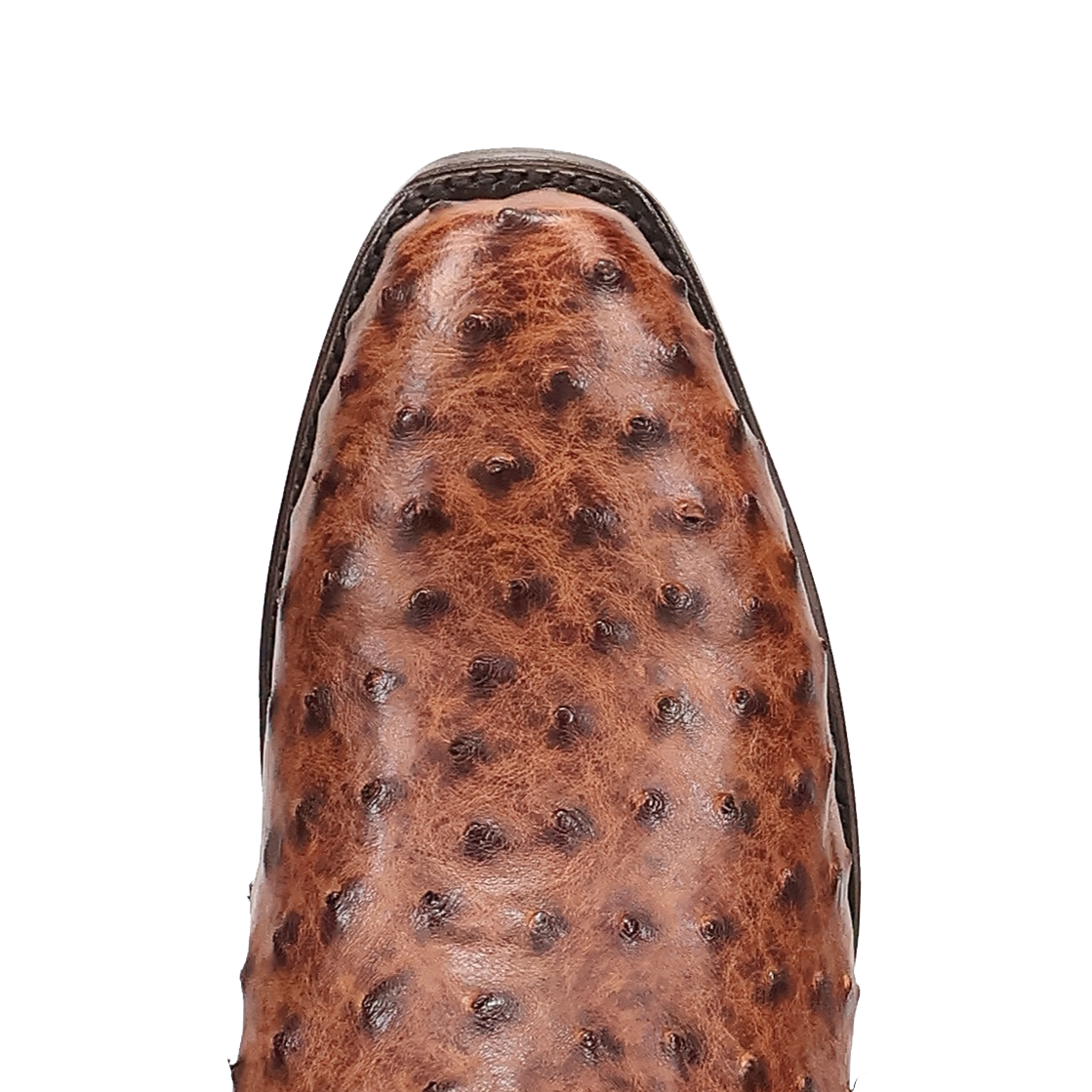 Dan Post Marco Full Quill Ostrich Boot