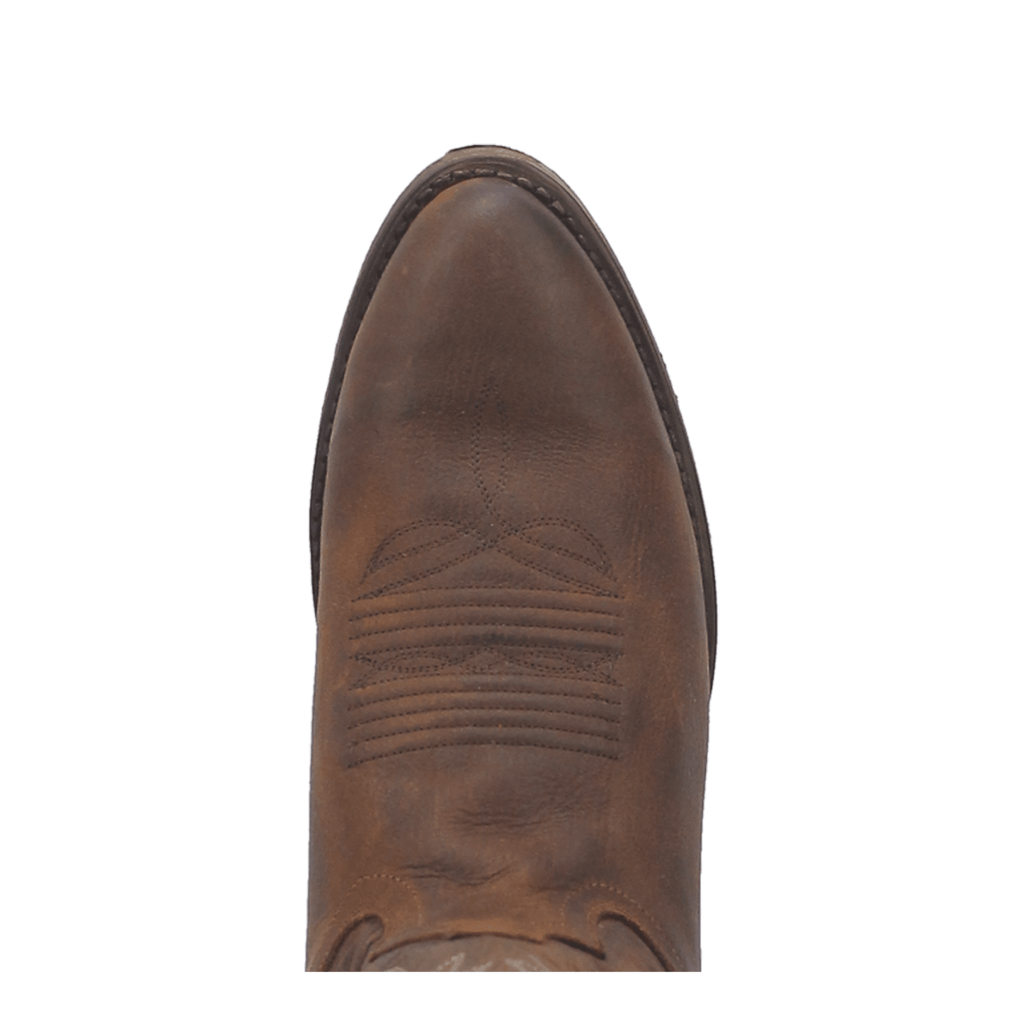Dan Post Renegade Leather Boot