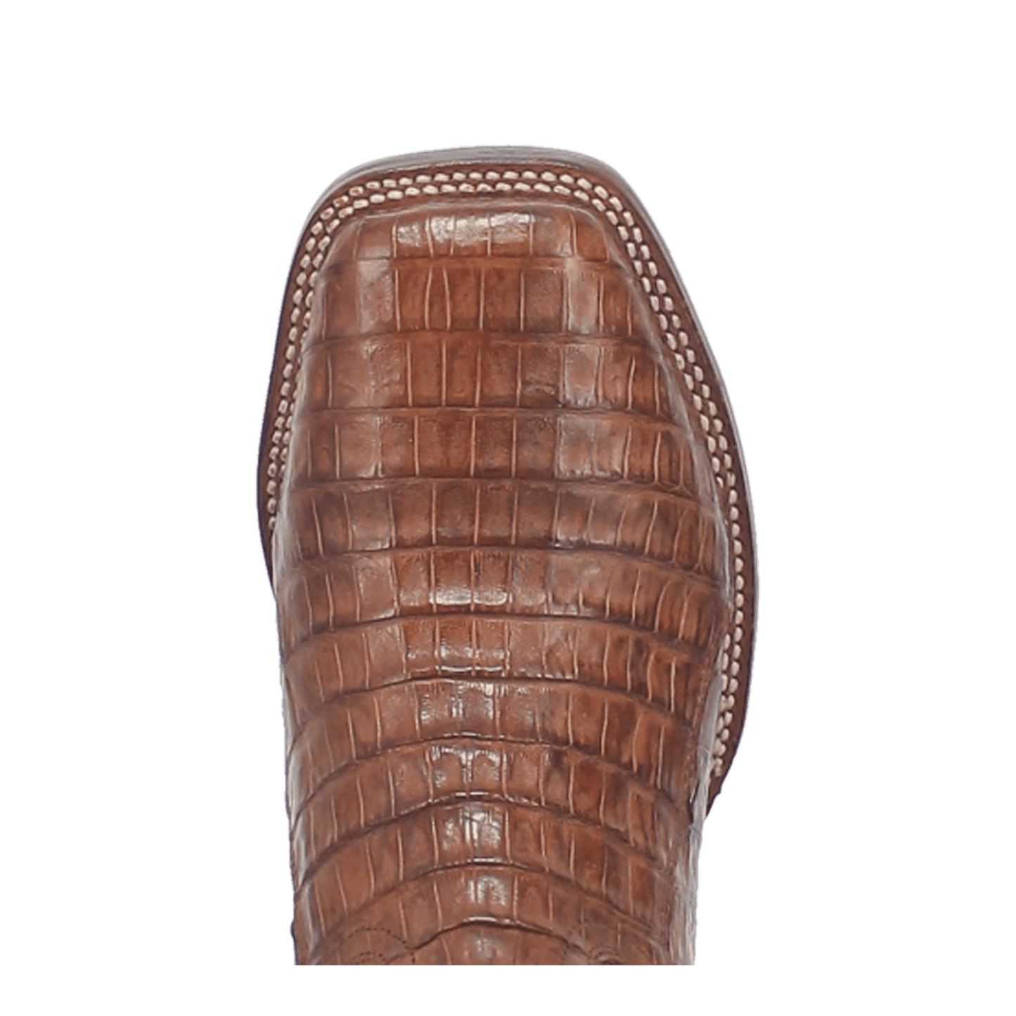 Dan Post Kingsly Caiman Boot
