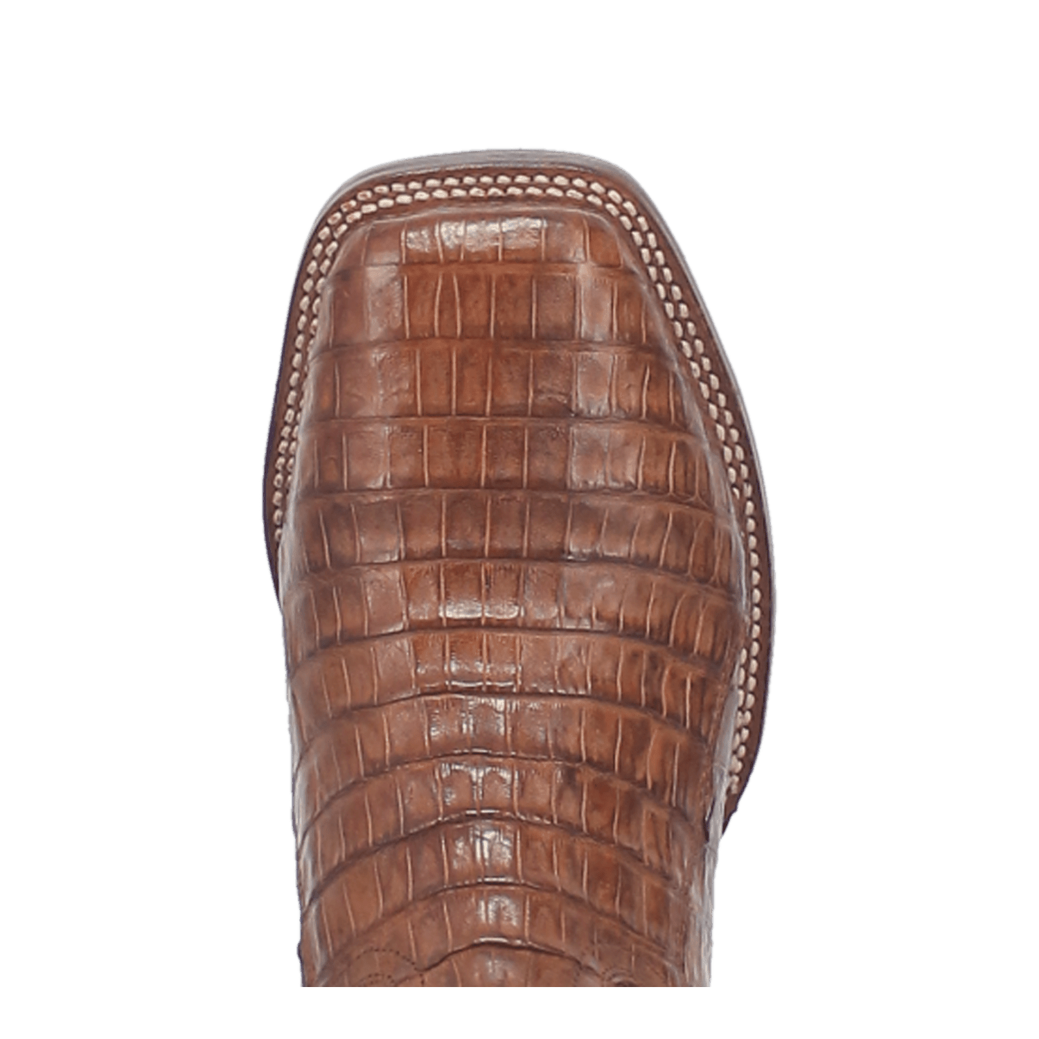 Dan Post Kingsly Caiman Boot