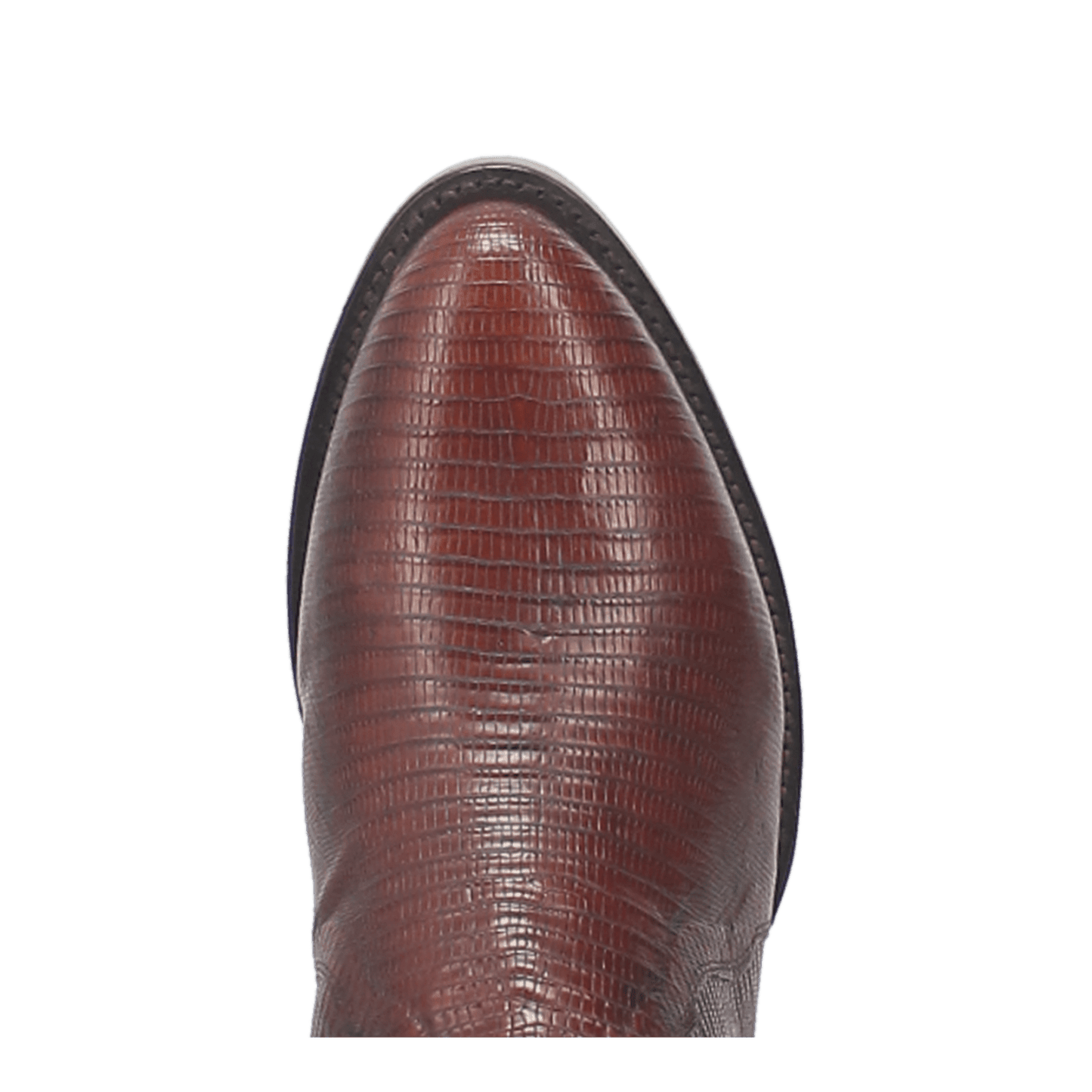 Dan Post Winston Lizard Boot