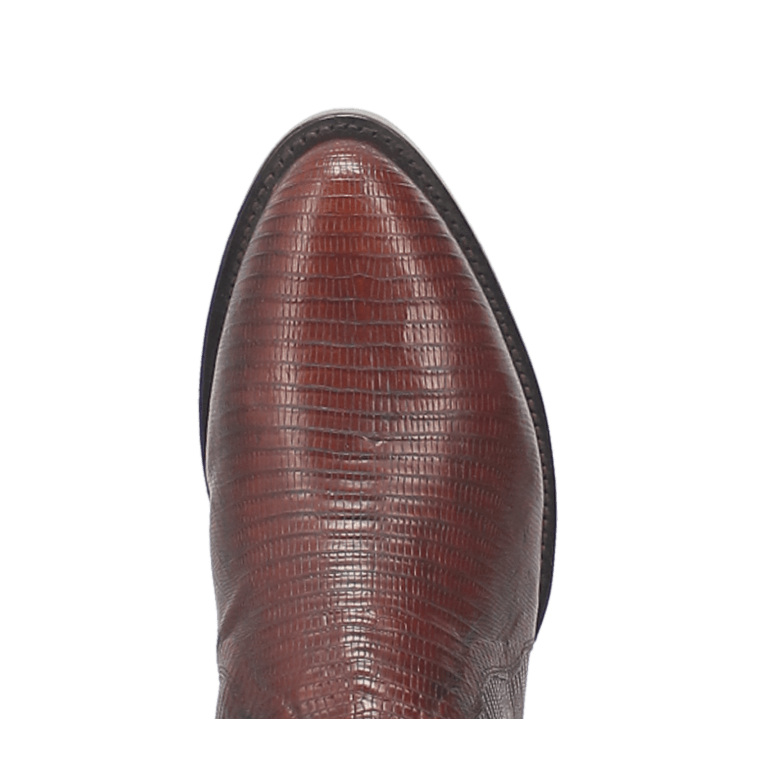 Dan Post Winston Lizard Boot