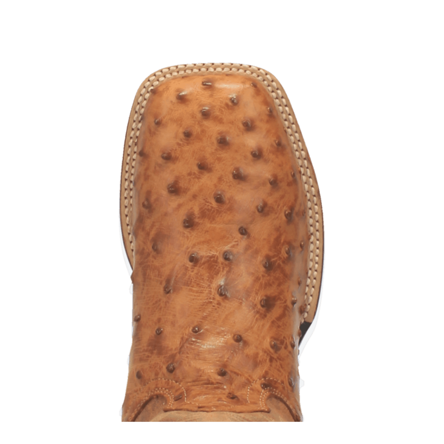Dan Post Alamosa Full Quill Ostrich Boot