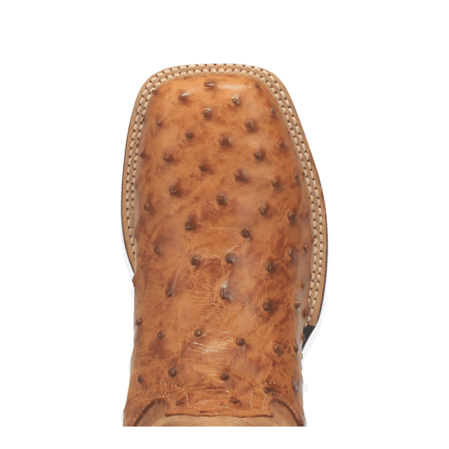 Dan Post Alamosa Full Quill Ostrich Boot