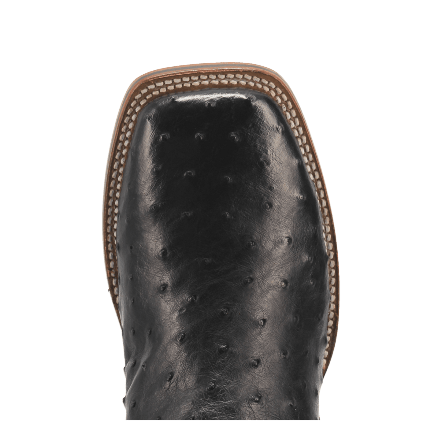 Dan Post Alamosa Full Quill Ostrich Boot