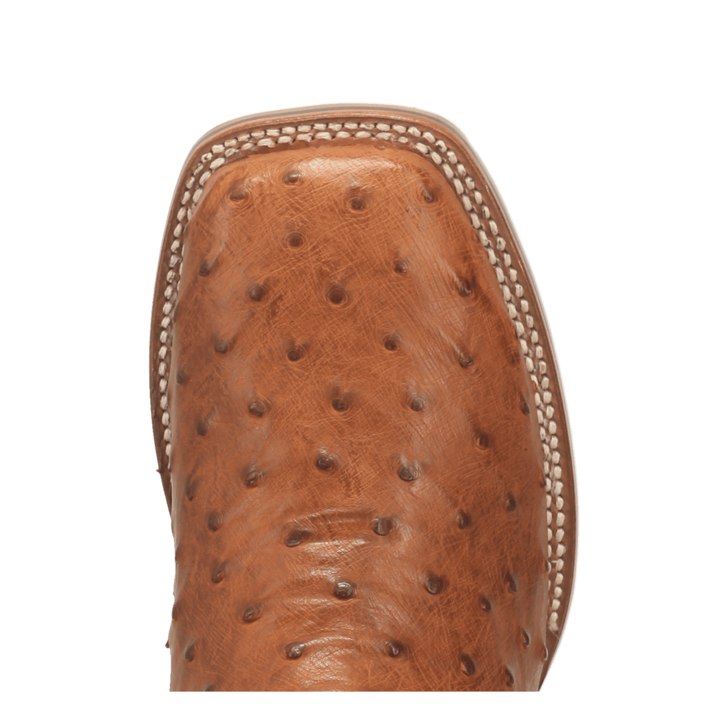 Dan Post Alamosa Full Quill Ostrich Boot