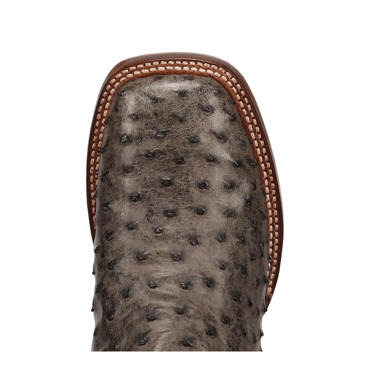 Dan Post Alamosa Full Quill Ostrich Boot