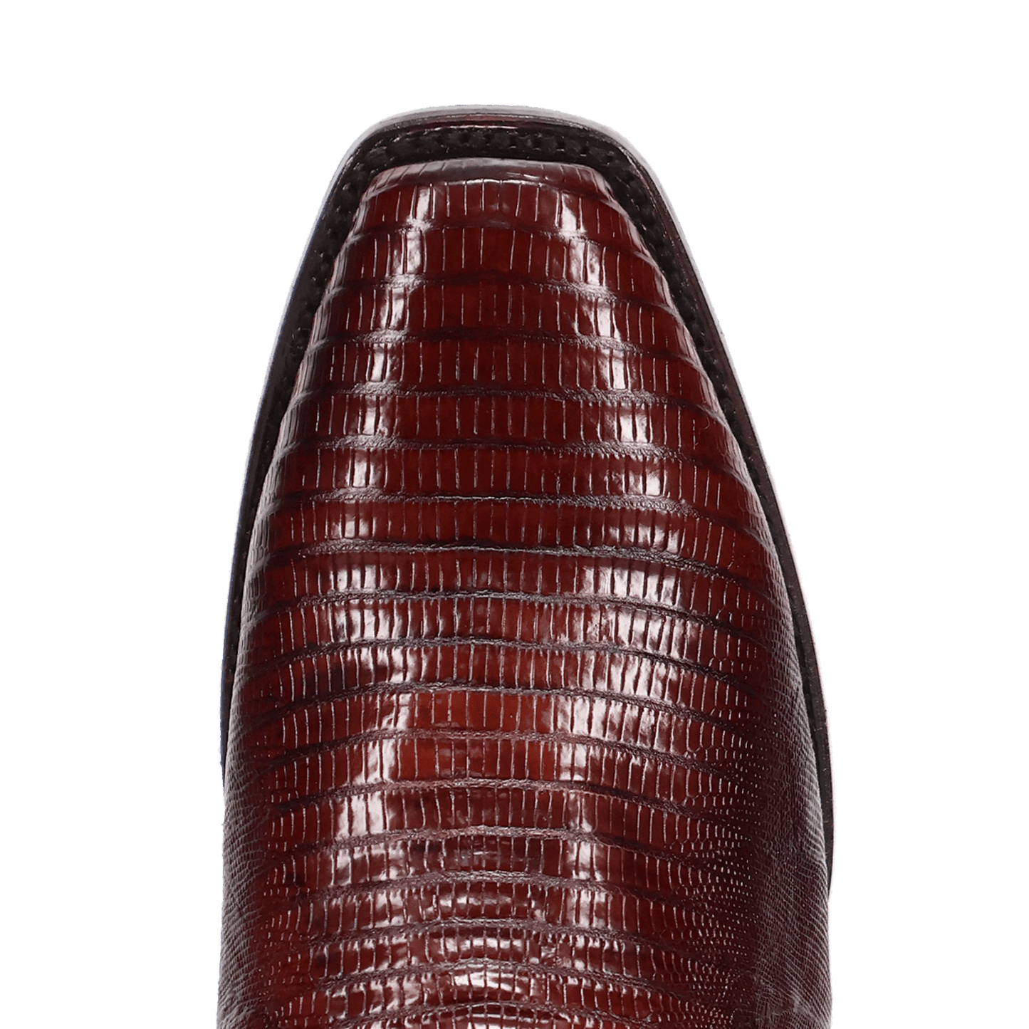 Dan Post Ringold Lizard Boot