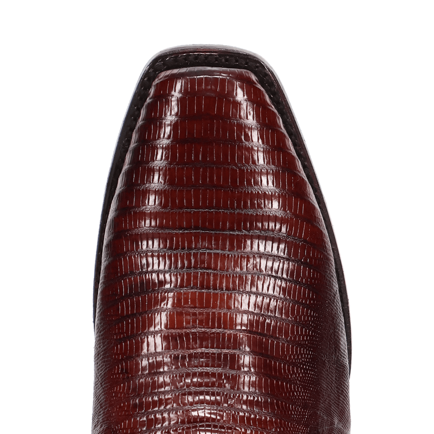 Dan Post Ringold Lizard Boot