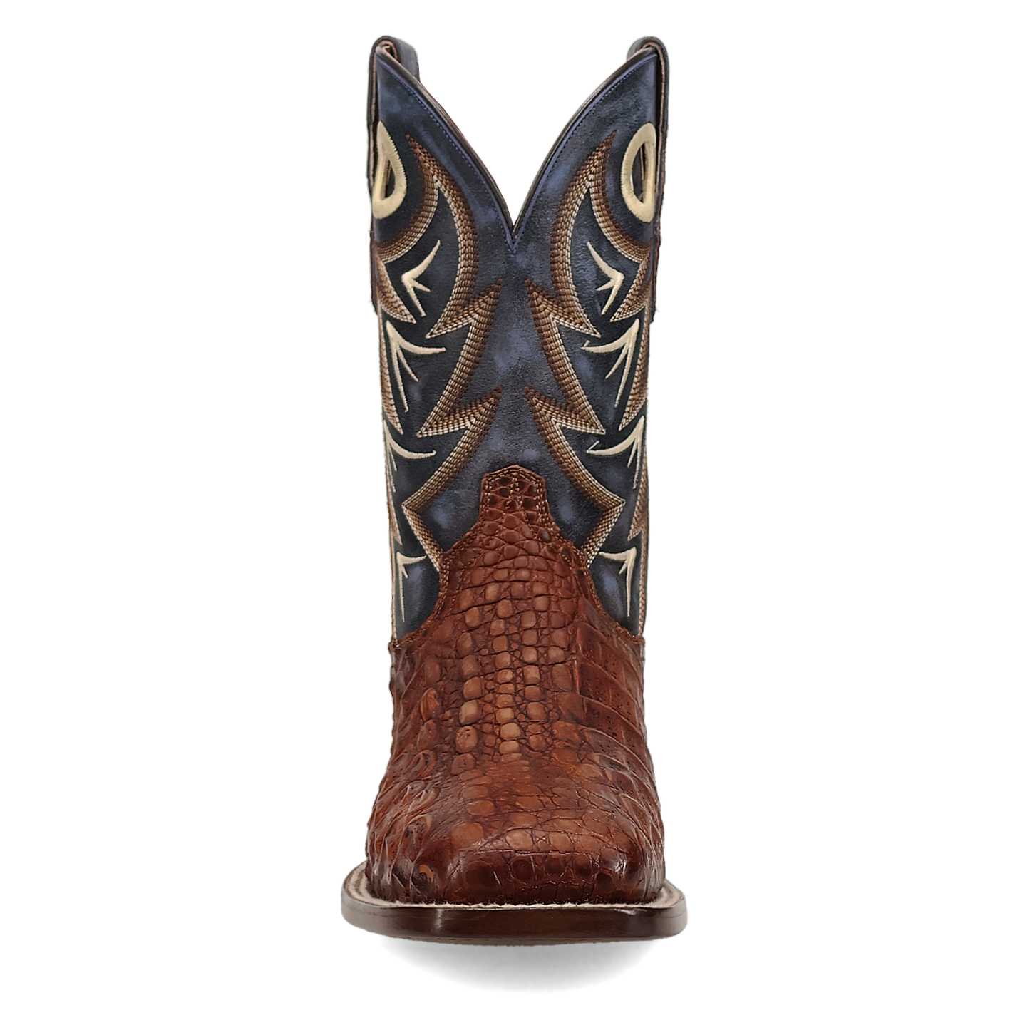 Dan Post Marsh Caiman Boot