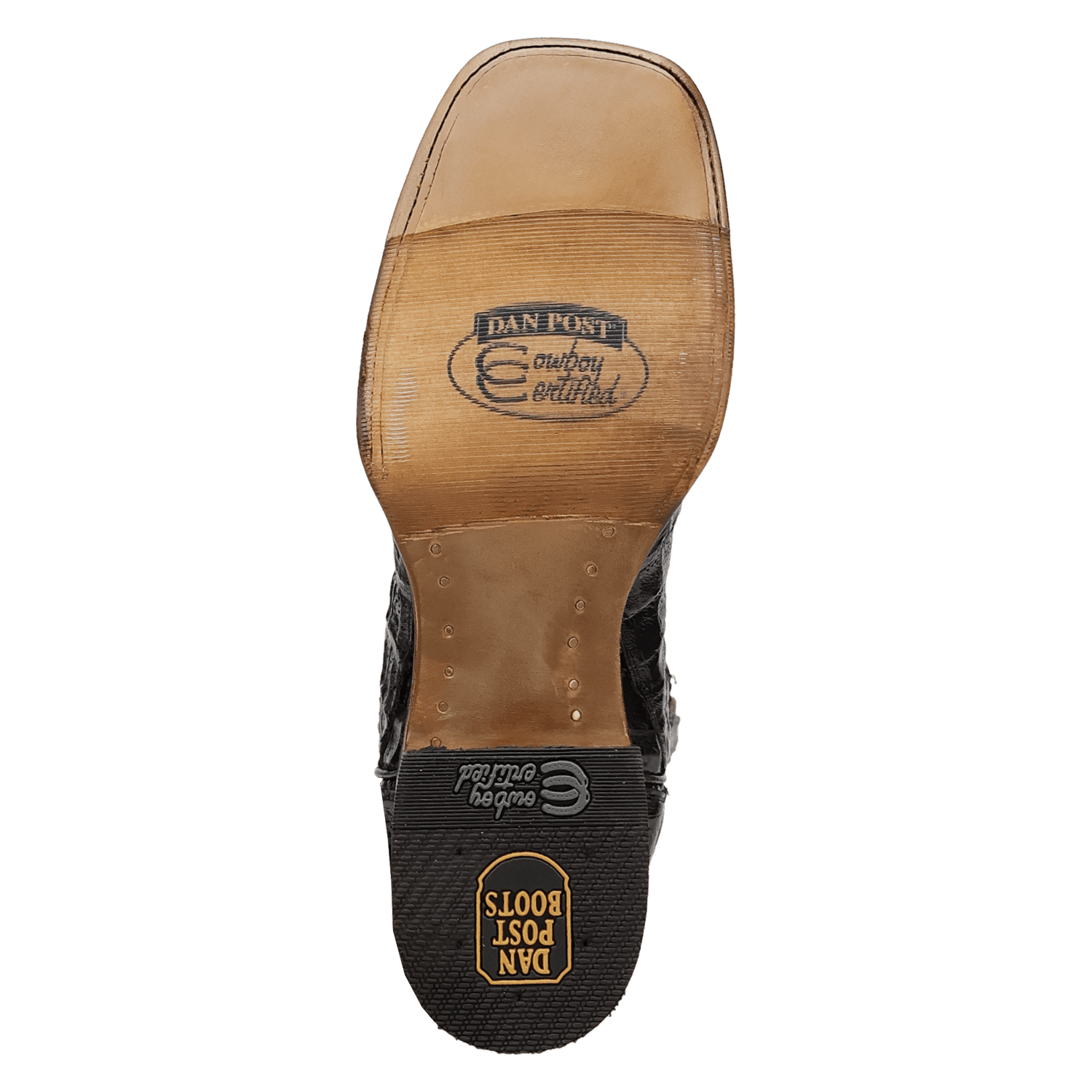 Dan Post Marsh Caiman Boot