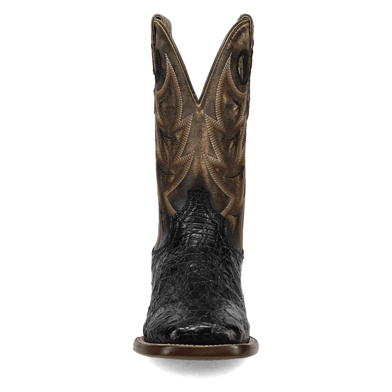 Dan Post Marsh Caiman Boot