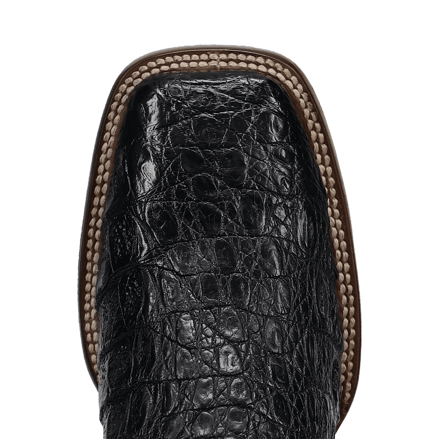 Dan Post Marsh Caiman Boot