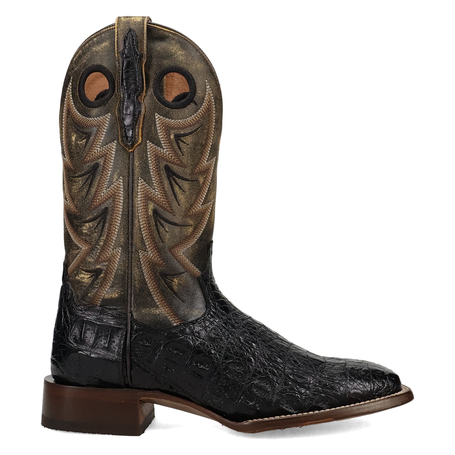 Dan Post Marsh Caiman Boot