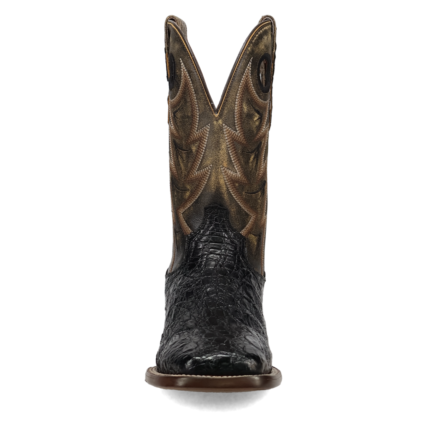 Dan Post Marsh Caiman Boot
