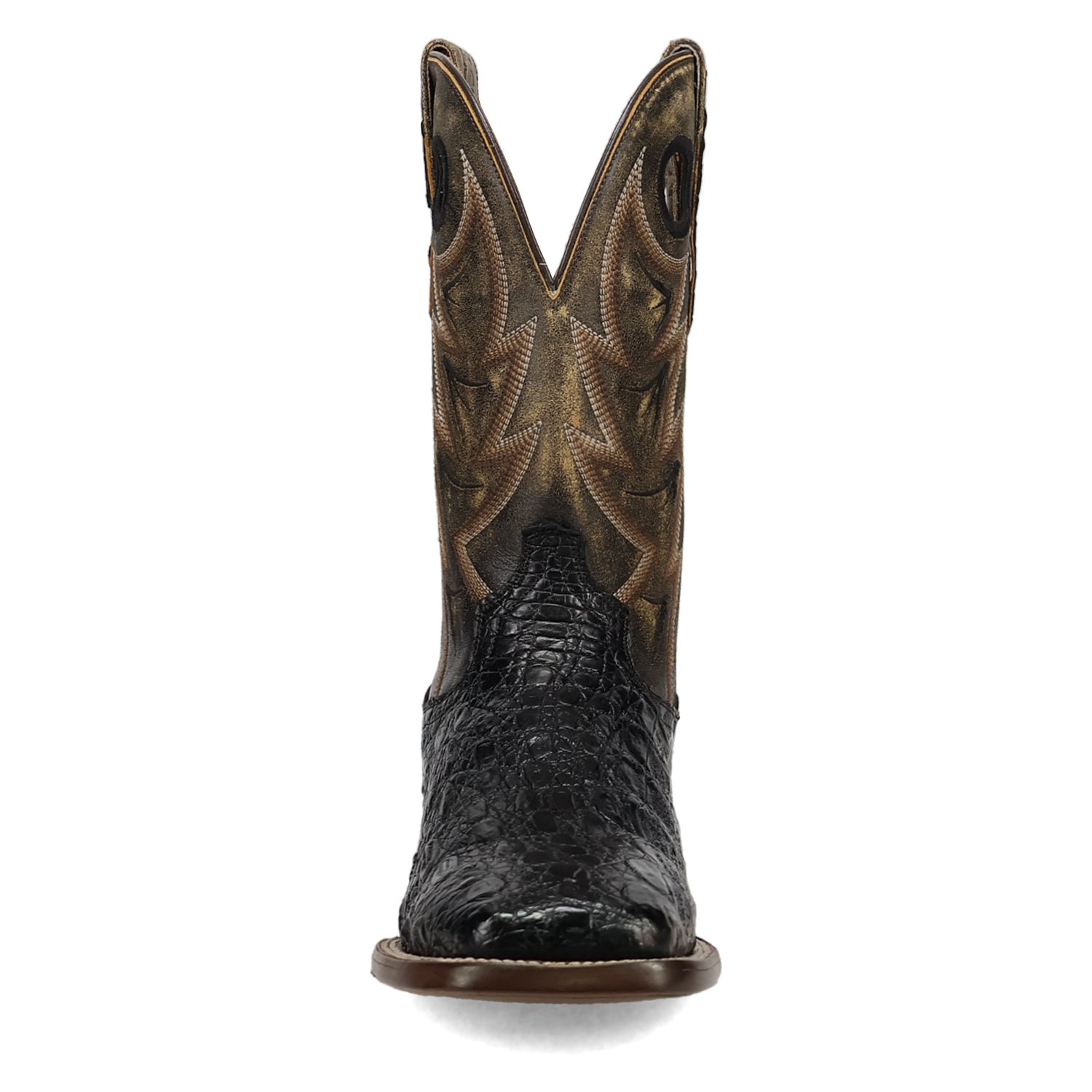 Dan Post Marsh Caiman Boot