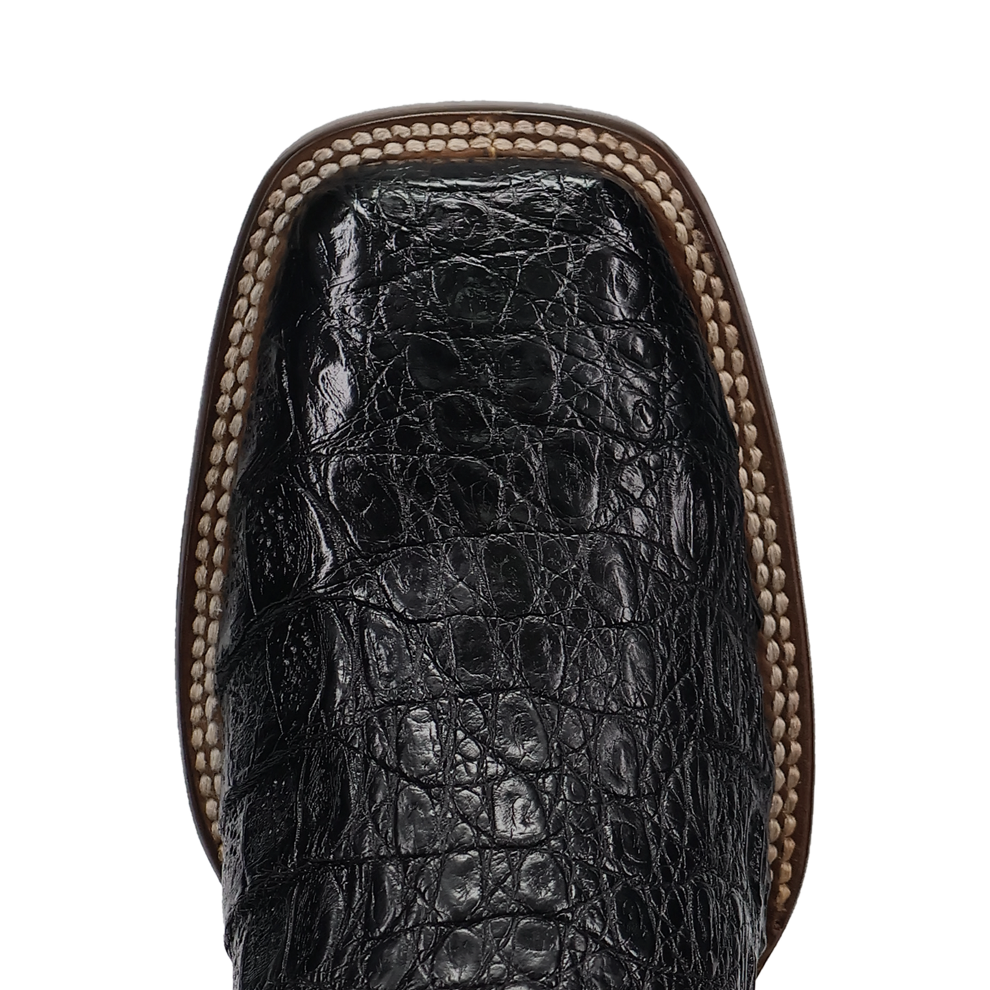 Dan Post Marsh Caiman Boot