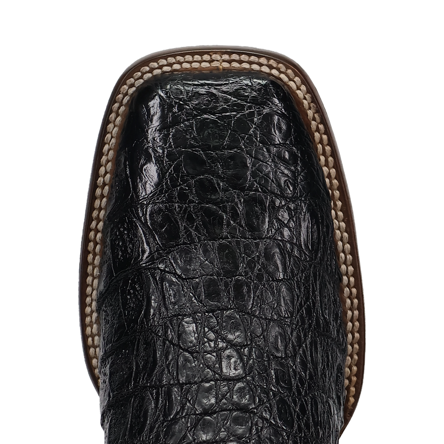 Dan Post Marsh Caiman Boot