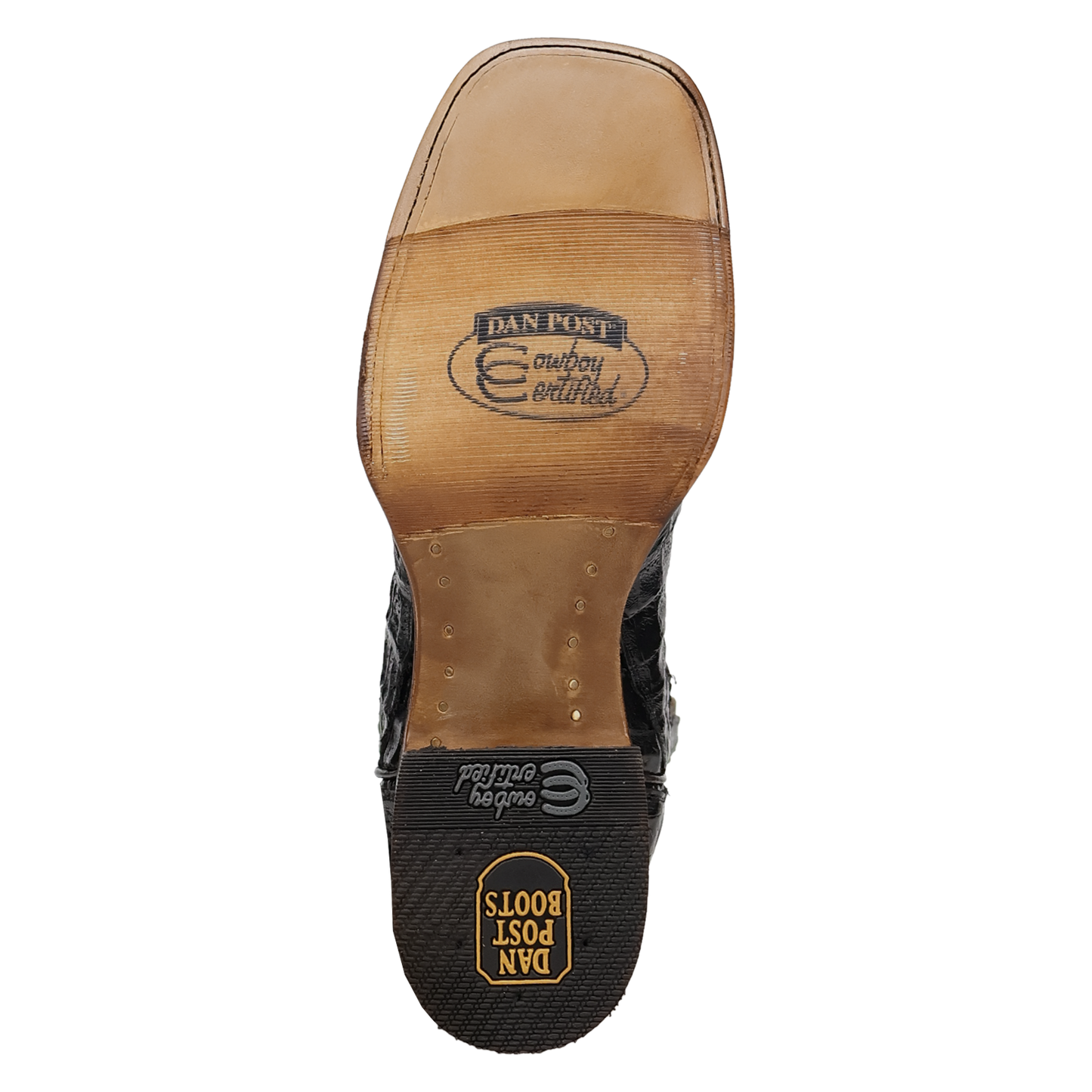 Dan Post Marsh Caiman Boot