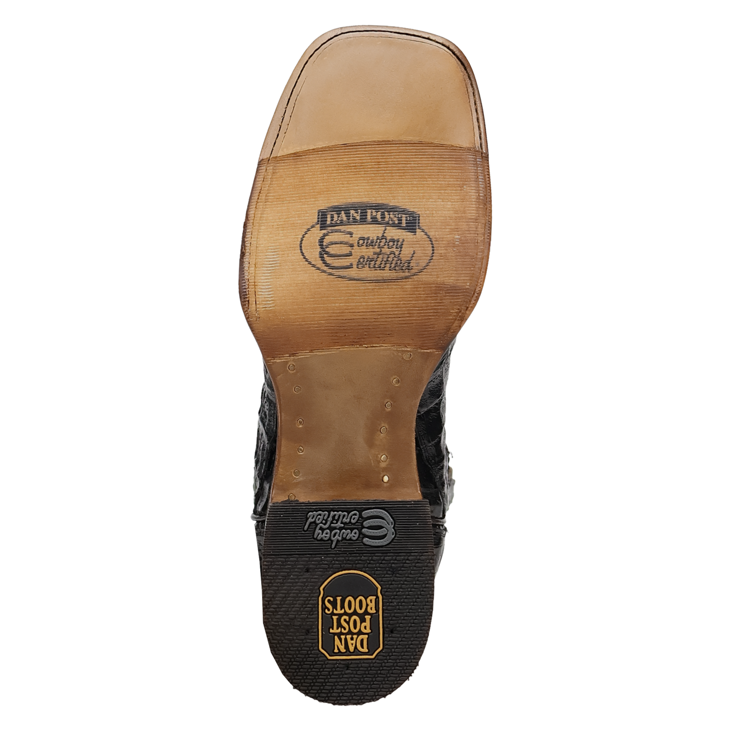 Dan Post Marsh Caiman Boot