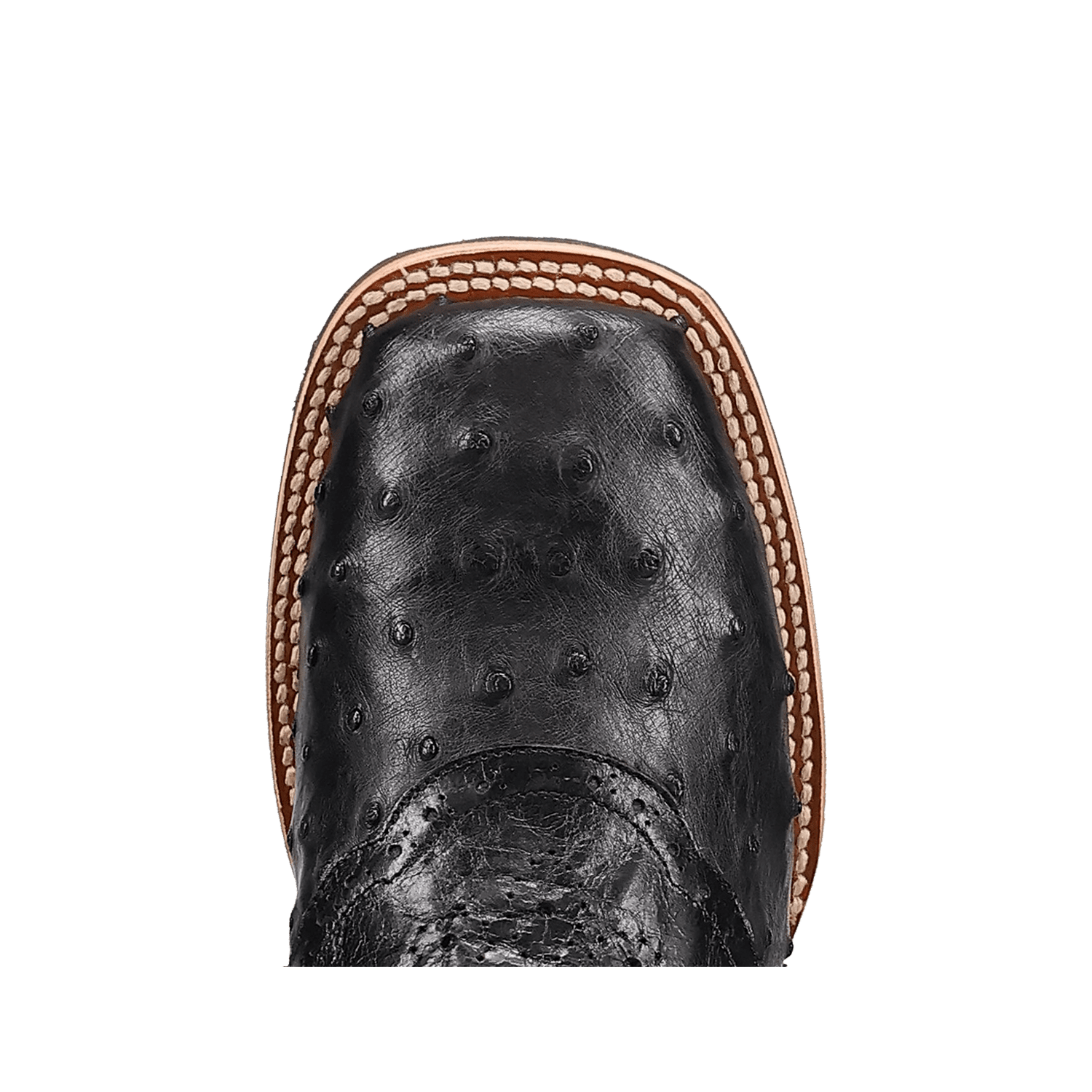 Dan Post Martel Full Quill Ostrich Boot