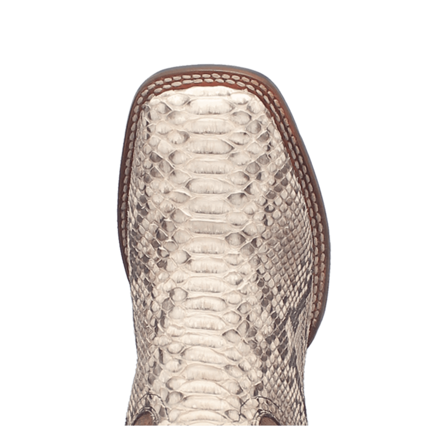 Dan Post Brutus Python Boot