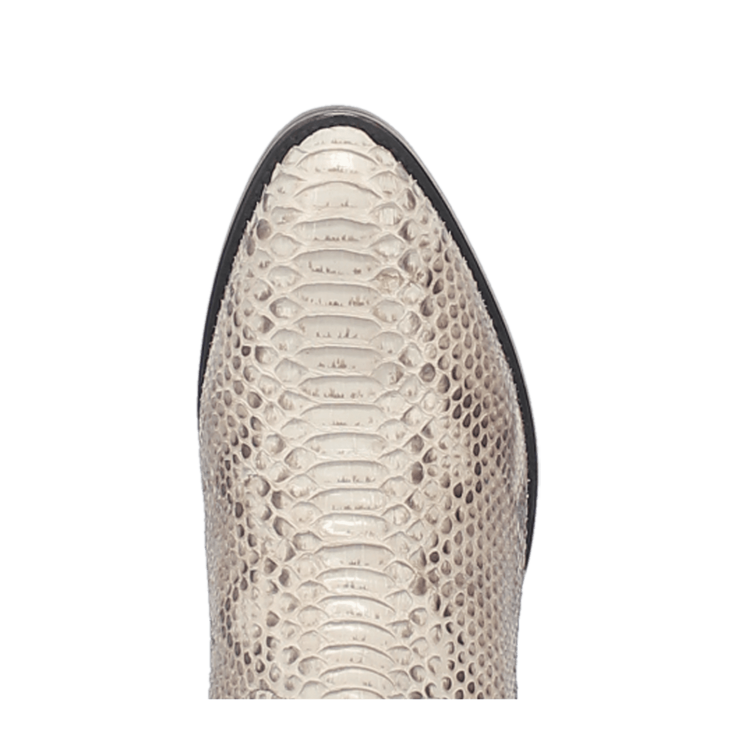 Dan Post Manning Python Boot