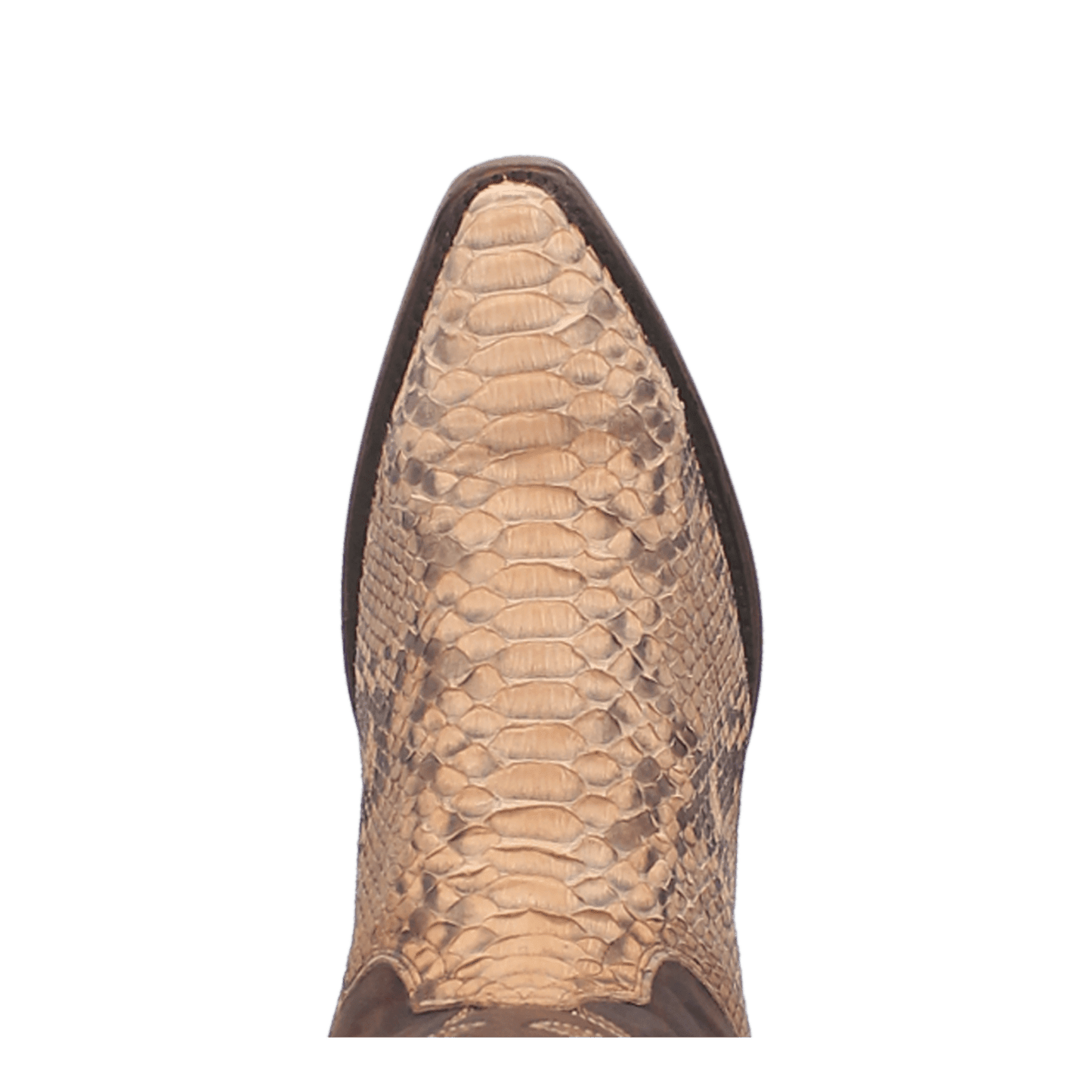 Dan Post Sturgis Python Boot