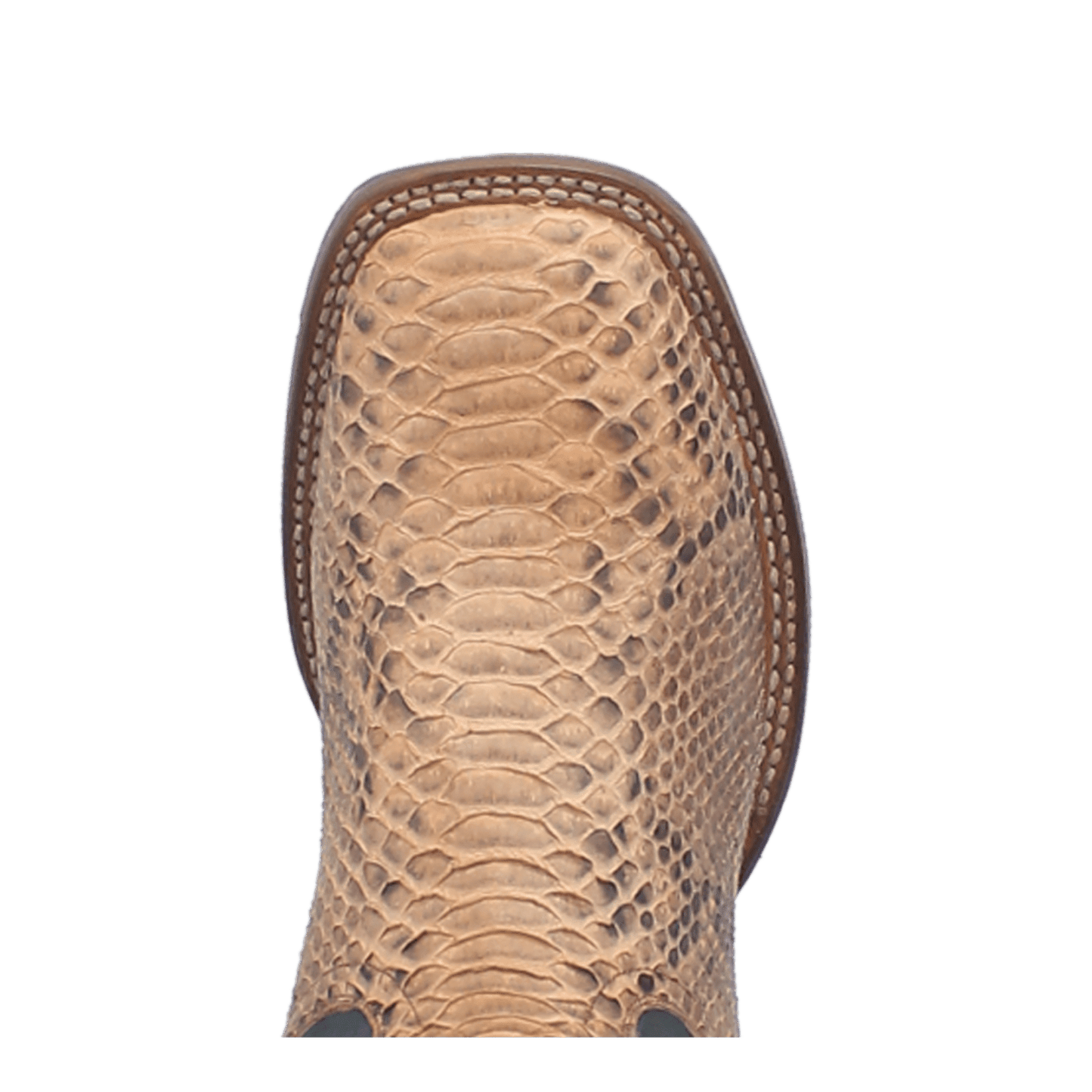 Dan Post Templeton Python Boot