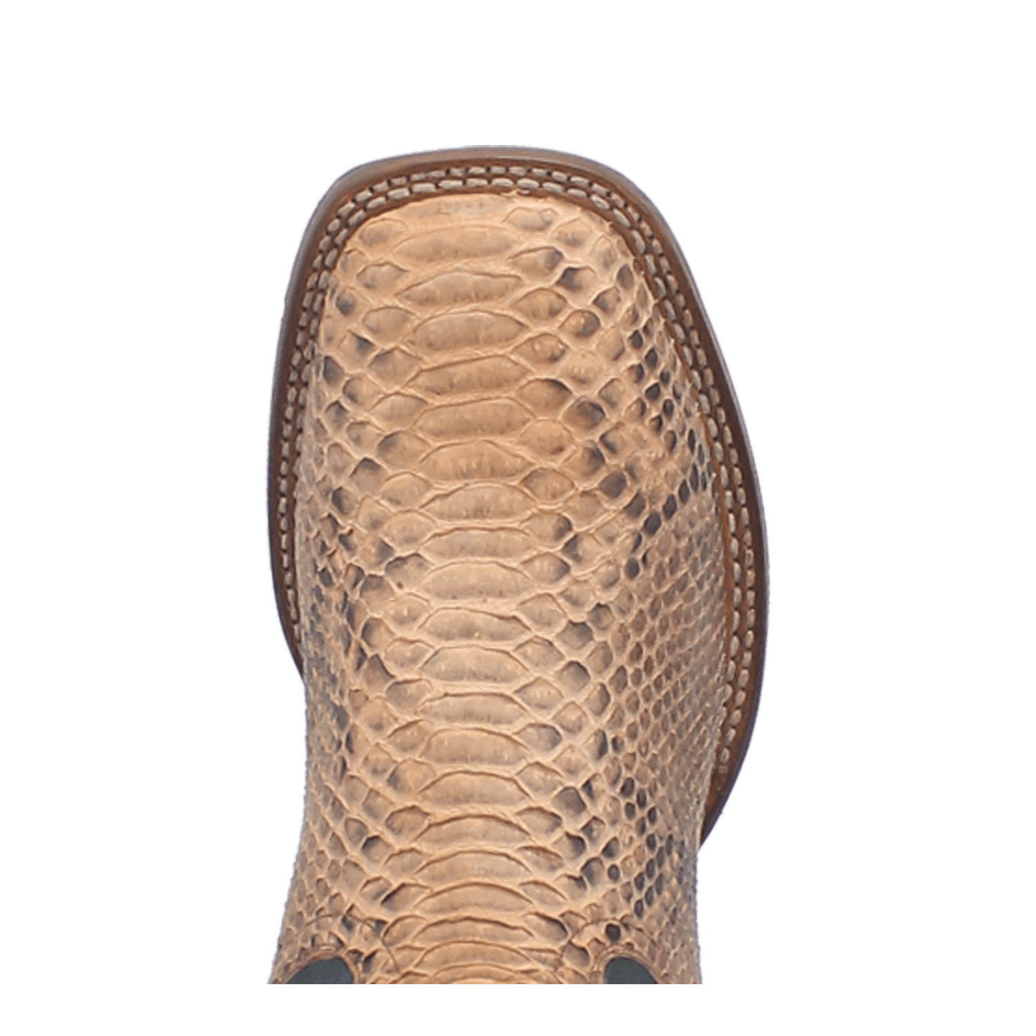 Dan Post Templeton Python Boot
