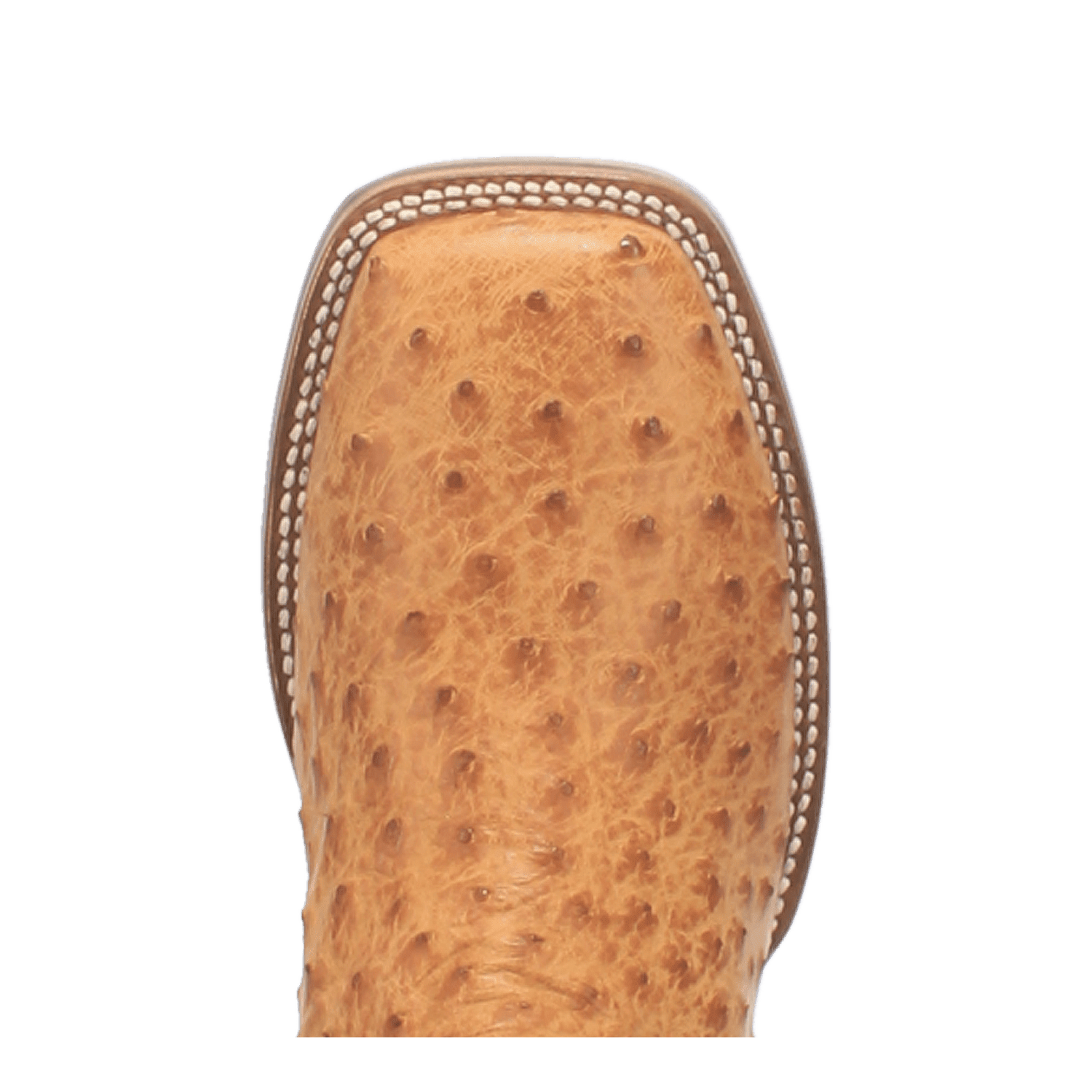 Dan Post Kershaw Full Quill Ostrich Boot