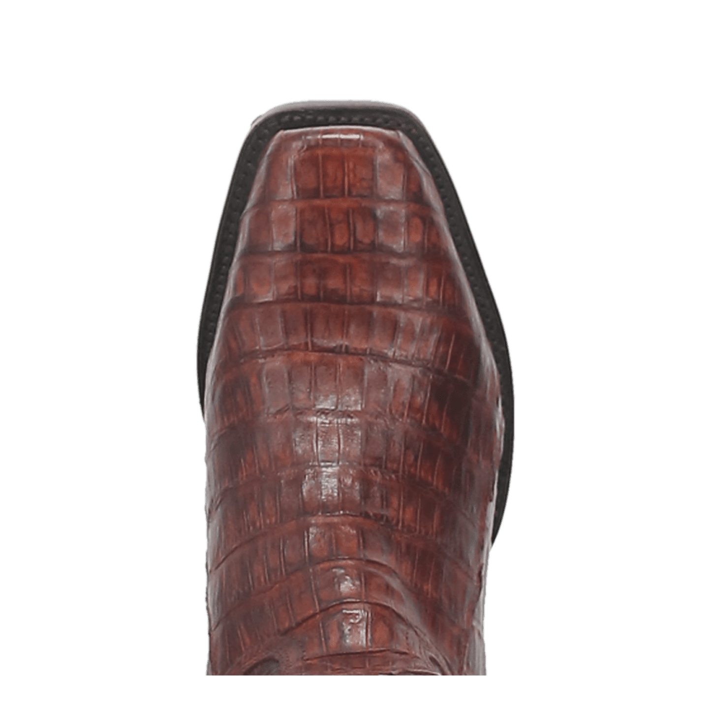 Dan Post Bayou Caiman Boot