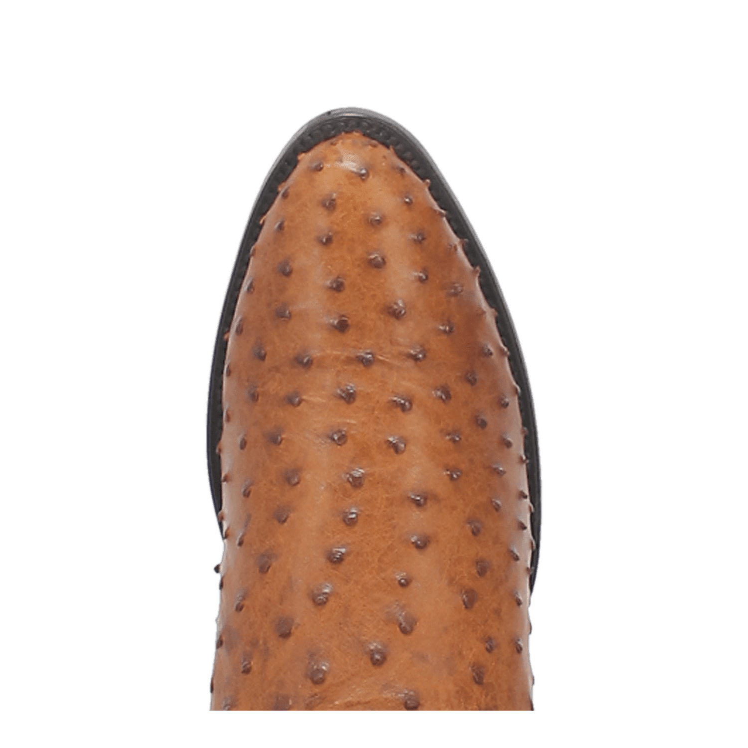 Dan Post Tempe Full Quill Ostrich Boot