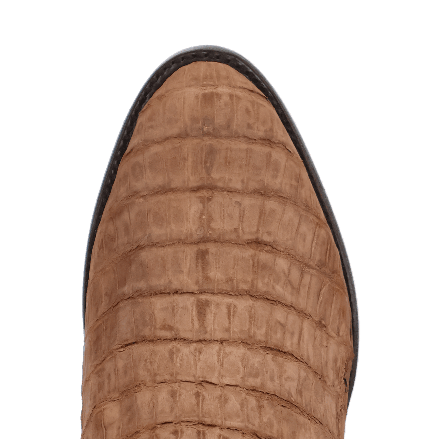 Dan Post Makara Caiman Boot