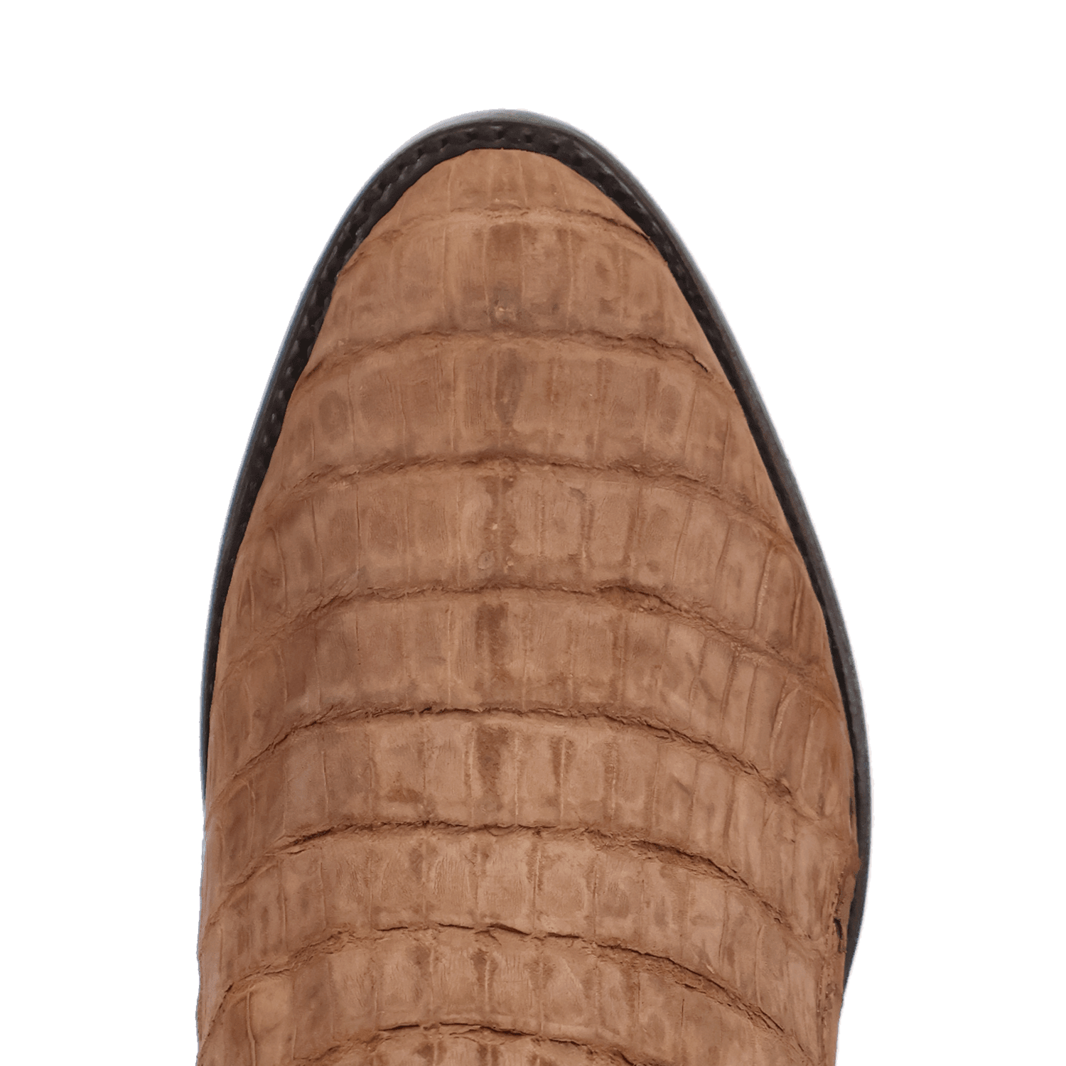 Dan Post Makara Caiman Boot