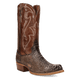 BAY APACHE
