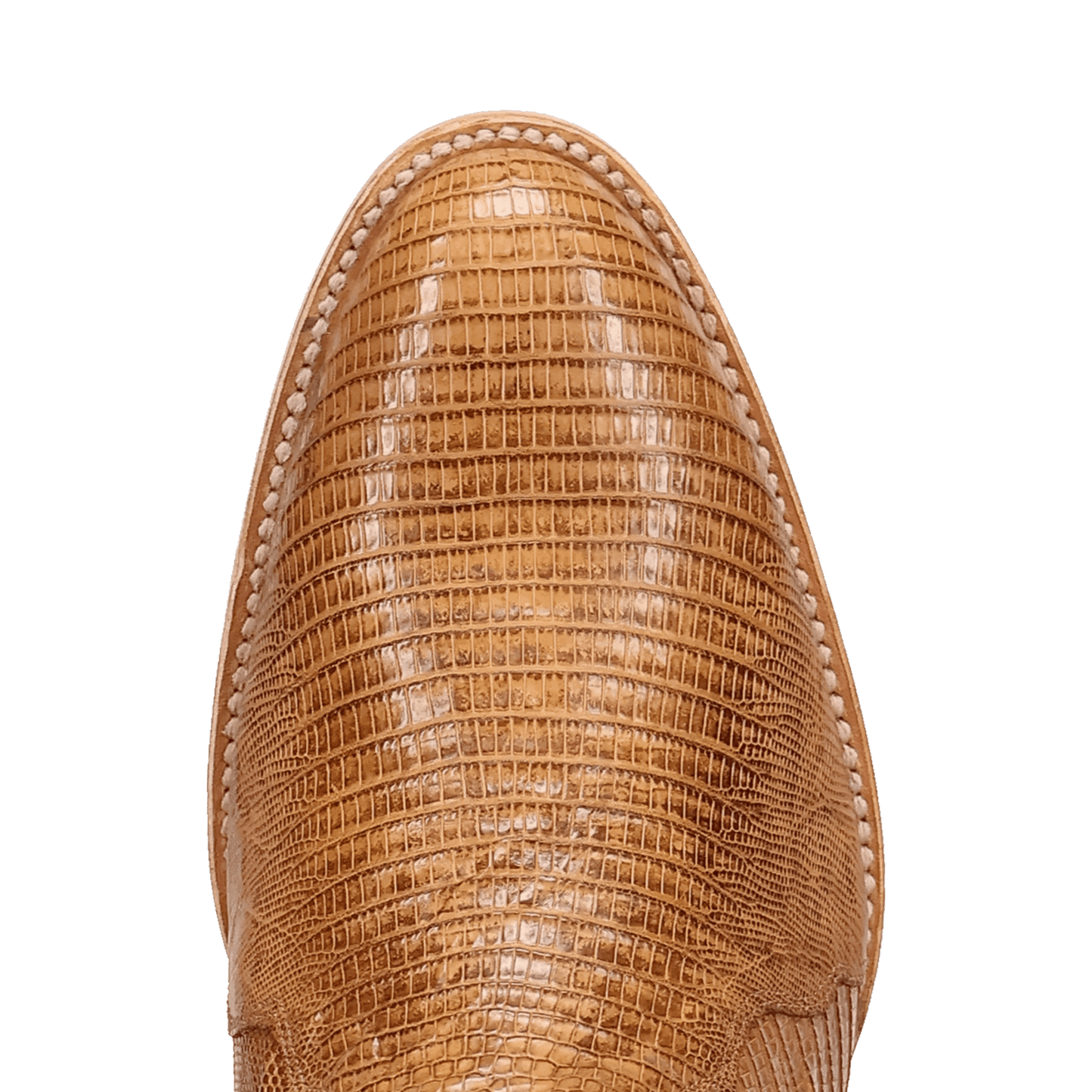 Dan Post Spurline Teju Lizard Boot