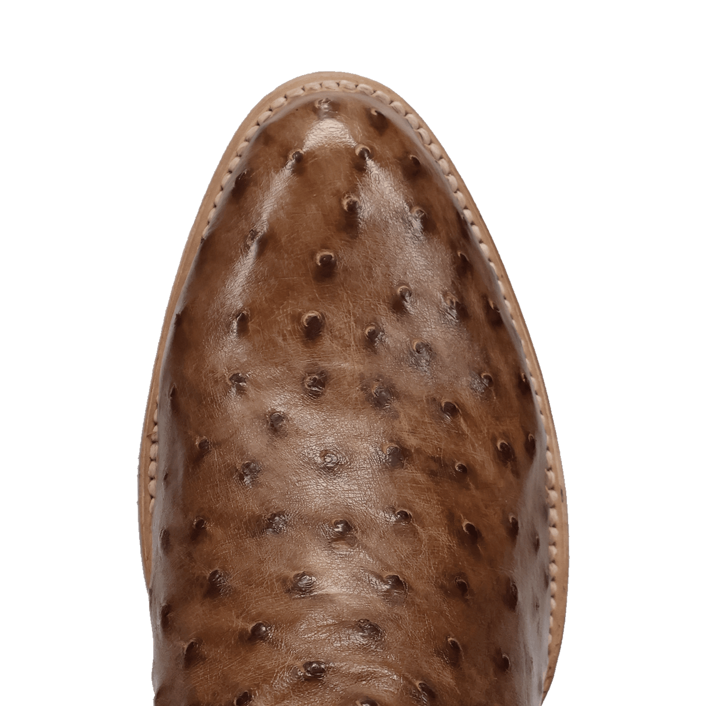 Dan Post Gauge Full Quill Ostrich Boot
