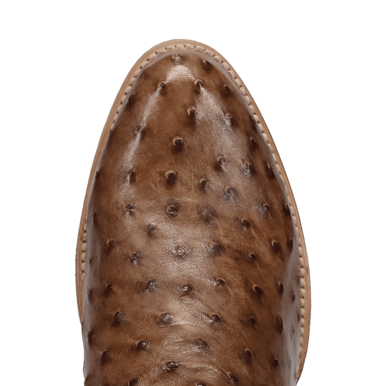Dan Post Gauge Full Quill Ostrich Boot