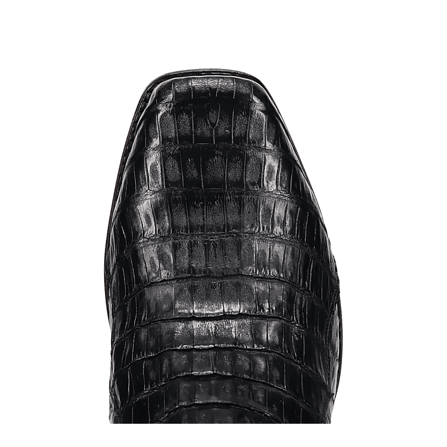 Dan Post Zandor Caiman Belly Boot