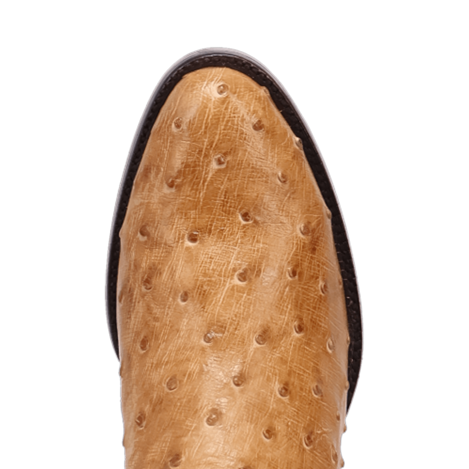 Dan Post Stanford Full Quill Ostrich Boot By Gld Label