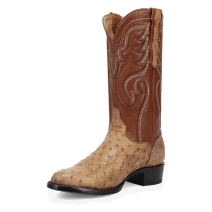 Dan Post Stanford Full Quill Ostrich Boot By Gld Label