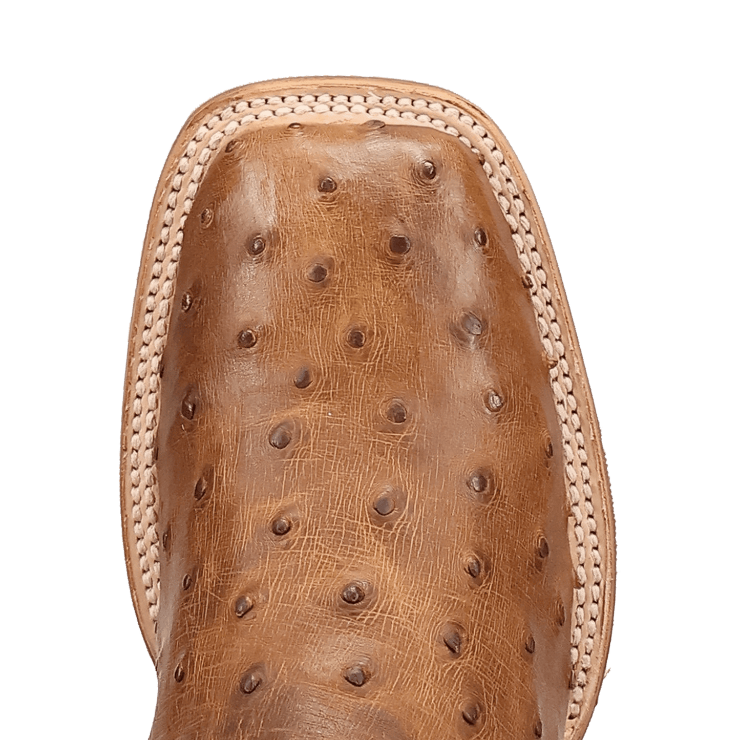 Dan Post Drayden Full Quill Ostrich Boot