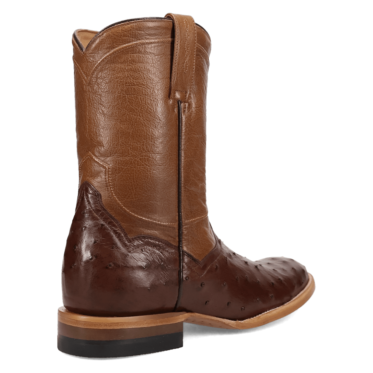 Dan Post Ardor Full Quill Ostrich Boot