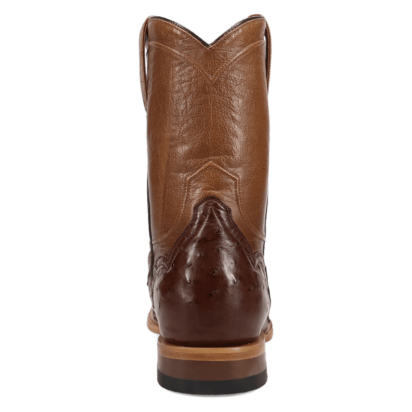 Dan Post Ardor Full Quill Ostrich Boot