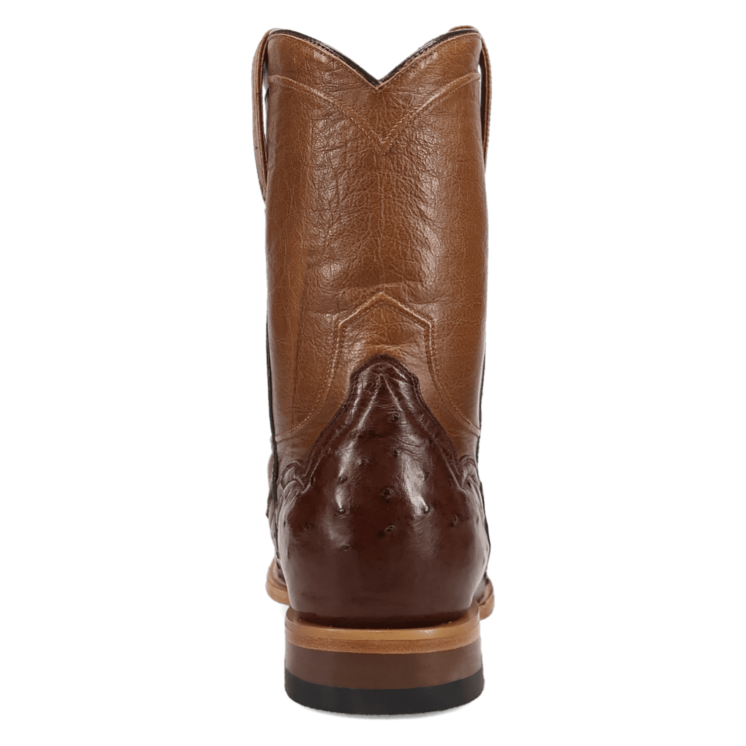 Dan Post Ardor Full Quill Ostrich Boot